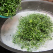 Add chopped herbs and garlic.